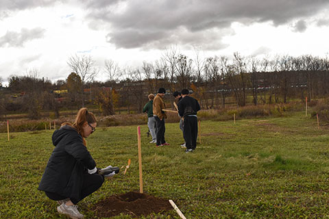 First-year students plant American chestnut trees.